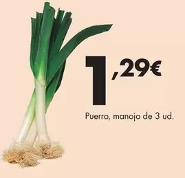 Puerro, Manojo De 3 Ud.