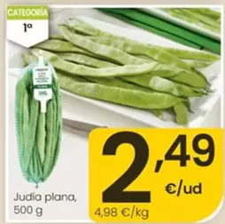 Judia Plana