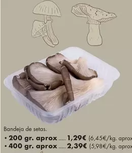Bandeja De Setas