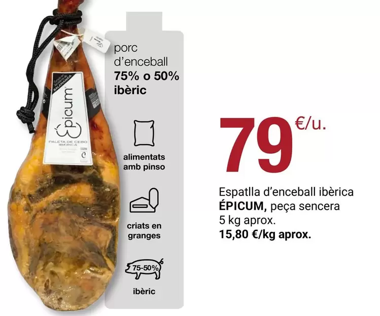 Salamanca - Espatlla D'enceball Iberica