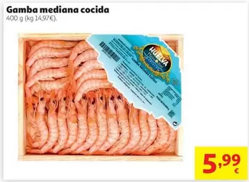 Gamba Mediana Cocida