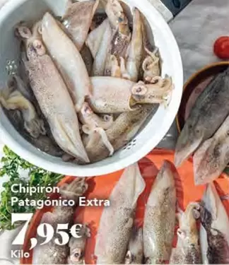 Chipiron Patagonico Extra