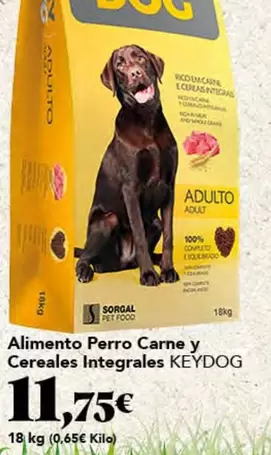 Alimento Perro Carne y Cereales Integrales