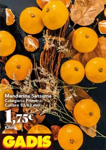 Mandarina Satsuuma Categoria Primera