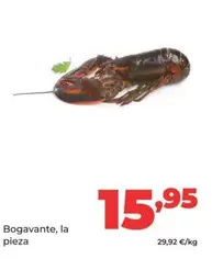 Bogavante
