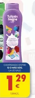 Tulipán - 120 Màs Uds.