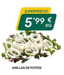 Anillas De Potón