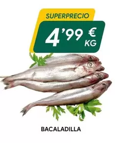 Bacaladilla