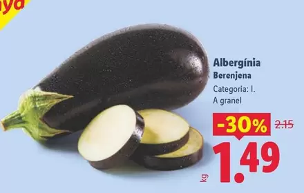 Alberginia