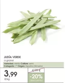 origen - Judia Verde