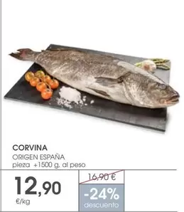 origen - Corvina