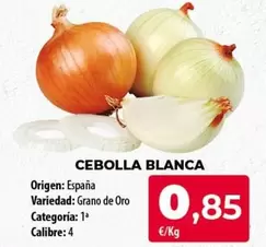 origen - Cebolla Blanca