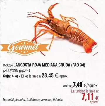 Gourmet - Langosta Roja Mediana Cruda