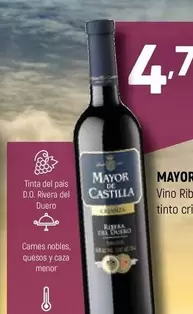 mayoral - Tinte Del Pais D.o. Rueda Del Duero
