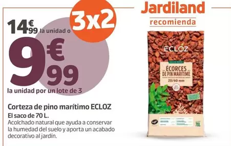 Ecloz - Corteza De Pino Marítimo