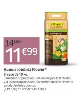 Flower - Humus Lombriz