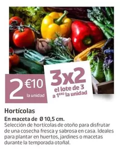 Hortícolas