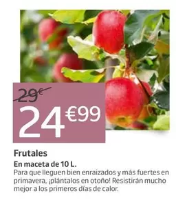 Frutales