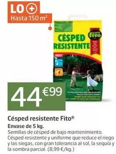 Cêsped Resistente Fito