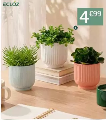 Ecloz - Planta Verde "Eden Collection"