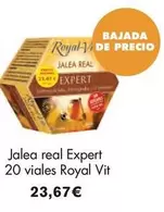 Jalea Real Expert 20 Viales