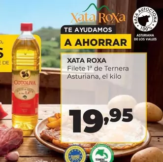 Cotoliva - Filete De Ternera Asturiana