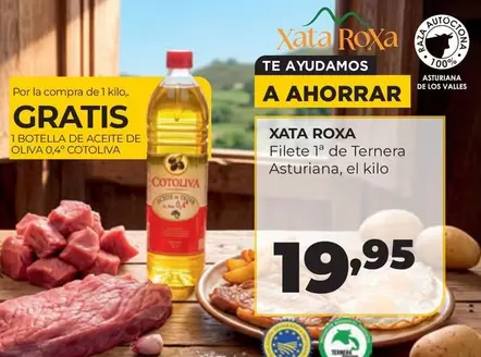 Xata Roxa - Filete De Ternera