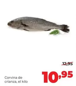Alimerka - Corvina De Crianza