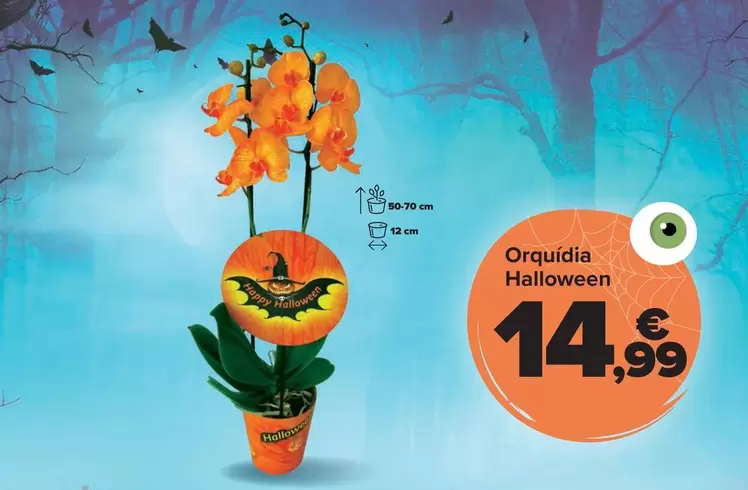 Orqu�dea Halloween