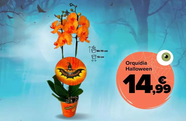 Orqu�dea Halloween