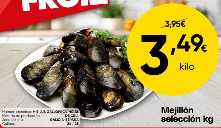 Mejillón Selection Kg