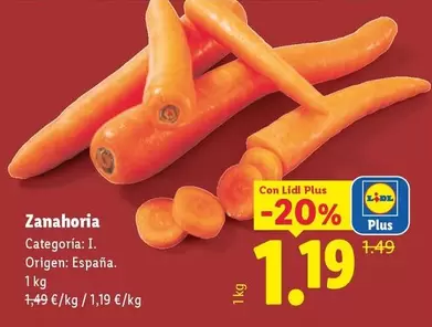 Zanahoria