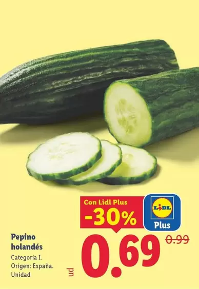 Pepino Holandes