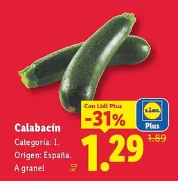 Calabacín