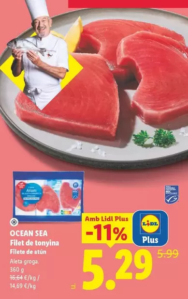 Ocean Sea - Filet De Tonyina