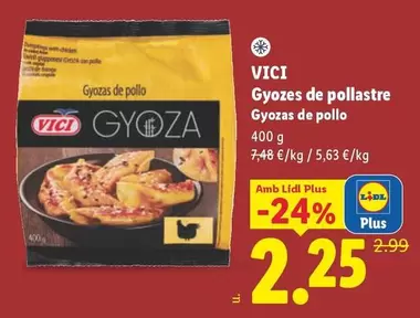 VICI - Gyozes De Pollastre