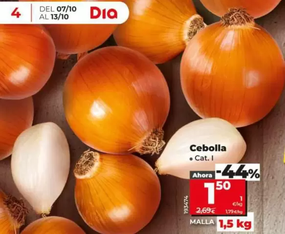 Cebolla