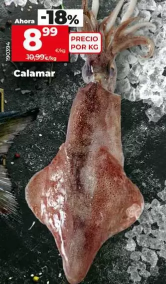 Calamar