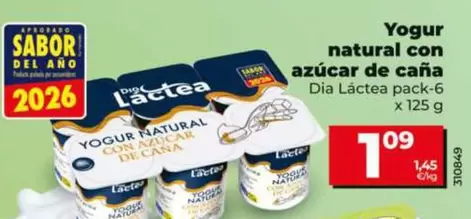 Dia Lactea - Yogur Natural Con Azucar De Cana 