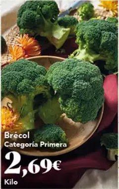 Brecol Categoria Primera