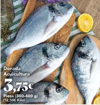 Dorada Acuicultura