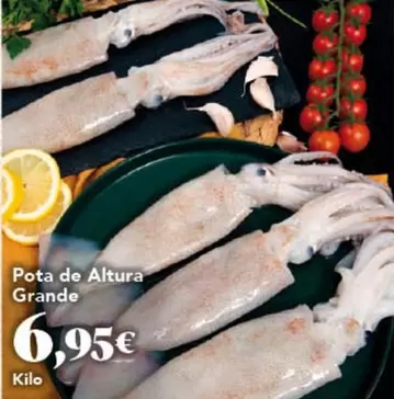 Pota De Altura Grande