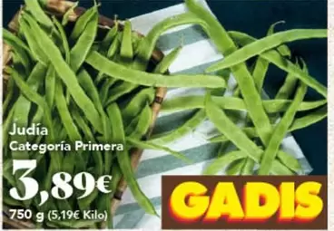 Judia Categoria Primera