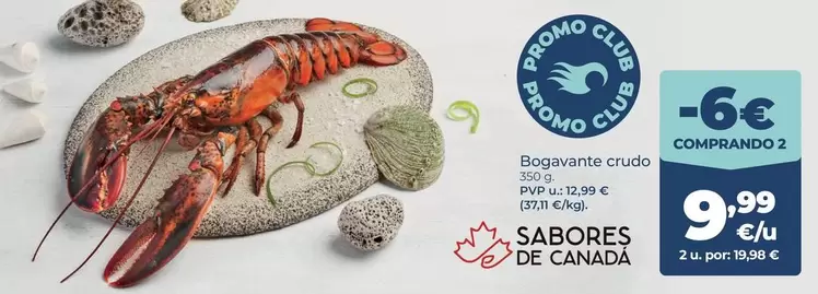 Bogavante Crudo