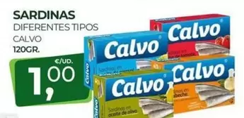 Calvo - Sardinas