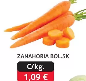 Zanahoria