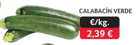Calabacín Verde