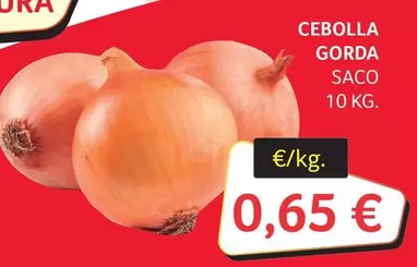 Cebolla Gorda