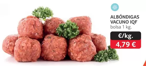 Albóndigas Vacuno