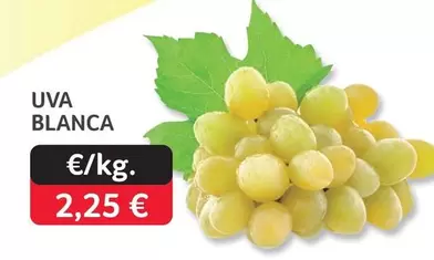 Uva Blanca